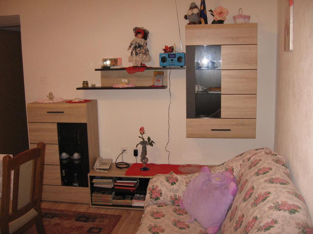 Apartments Alen Пазин Экстерьер фото